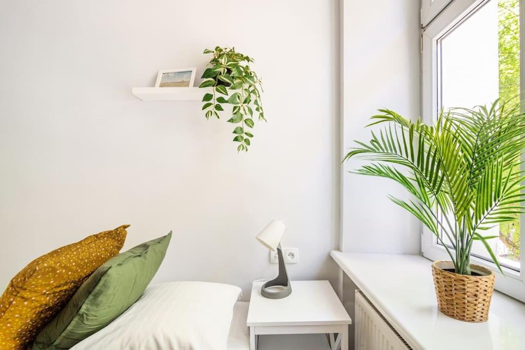 Apartment Galla - Cichy